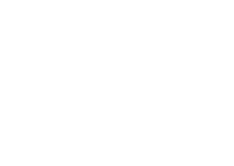 Things Nigerians Love